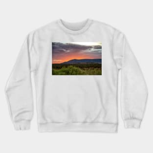 850_7005 Crewneck Sweatshirt